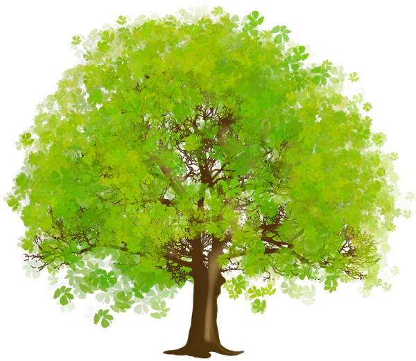 Wallpaper Tree Desktop Free Clipart HD Clipart