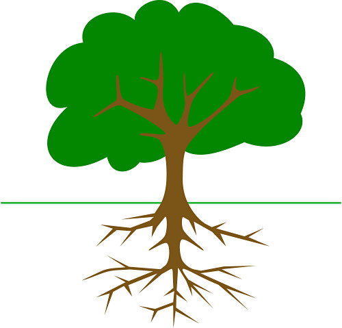 Oak Trees Images Free Download Clipart