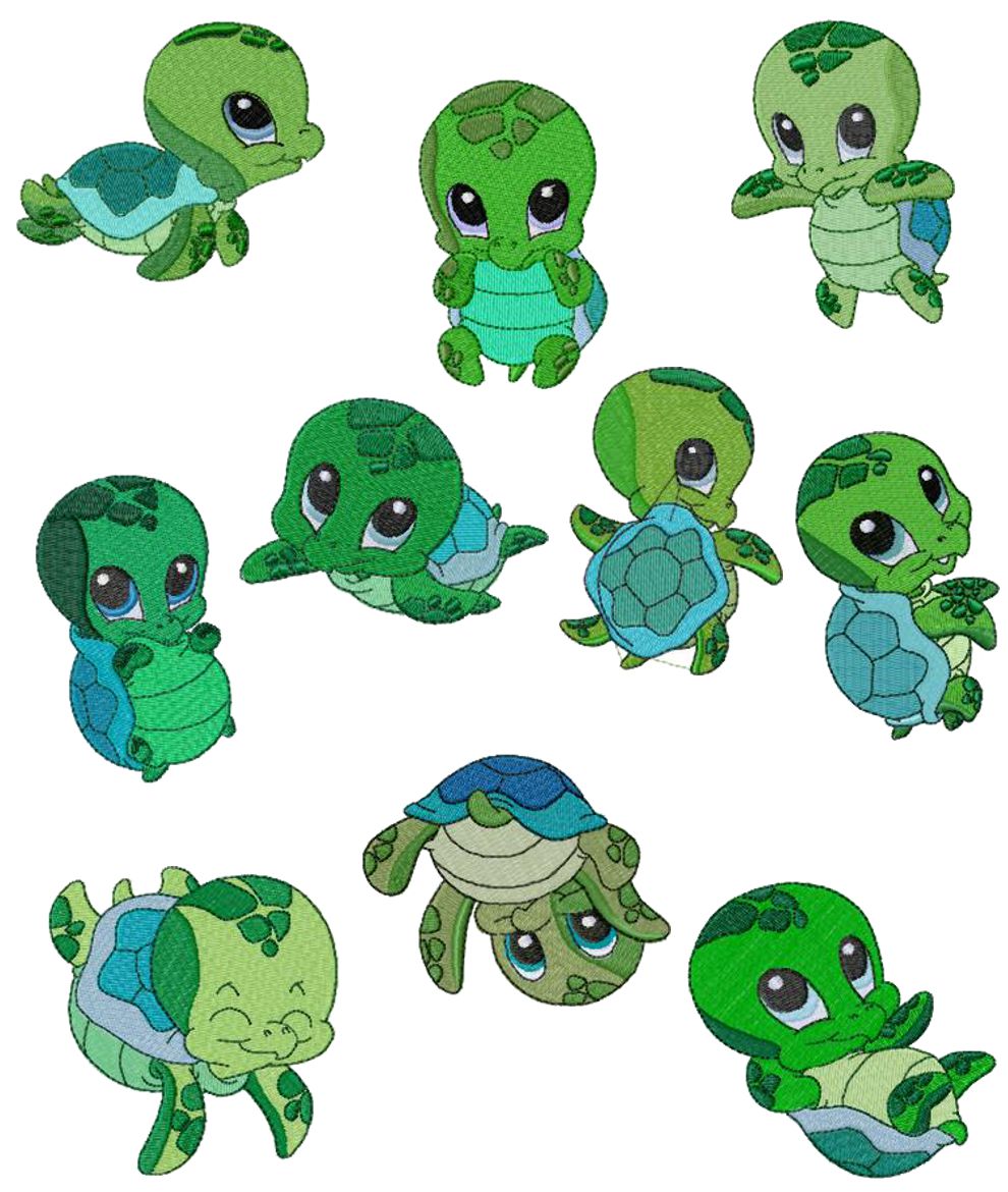 Cute Baby Turtle Download Png Clipart
