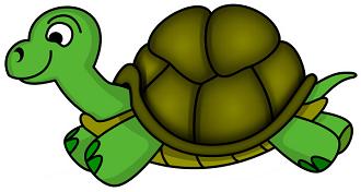 Turtle Black And White Images Hd Photo Clipart