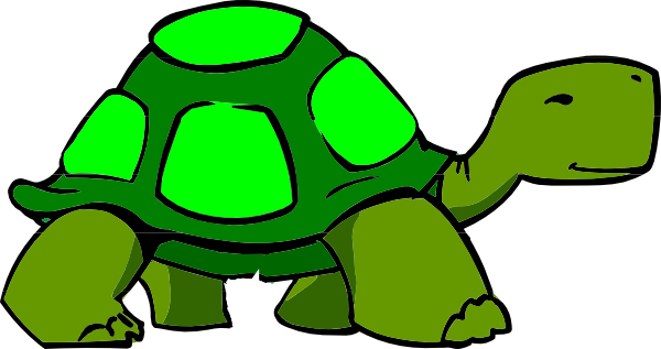 Turtle At Vector Hd Photo Clipart