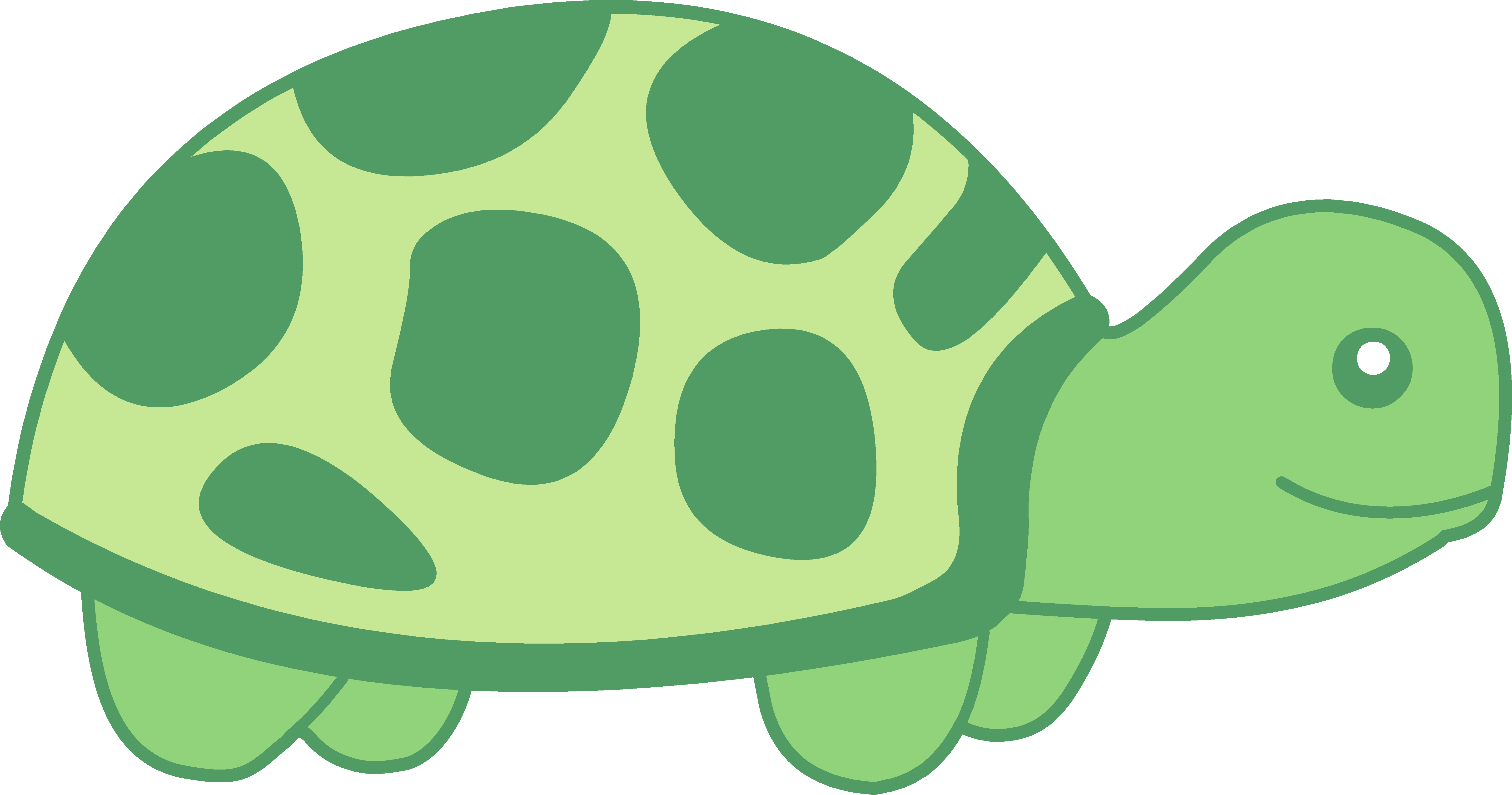 Turtle Black And White Images Hd Photo Clipart