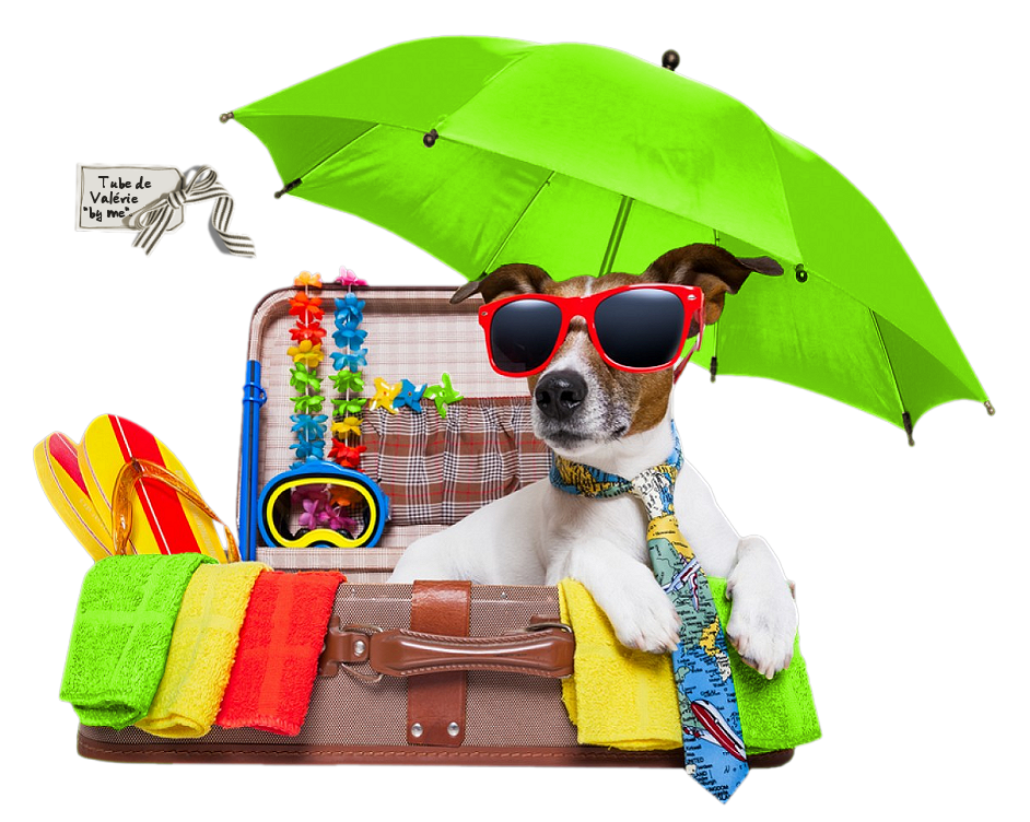 Holiday Russell Pet Vacation Jack Puppy Terrier Clipart