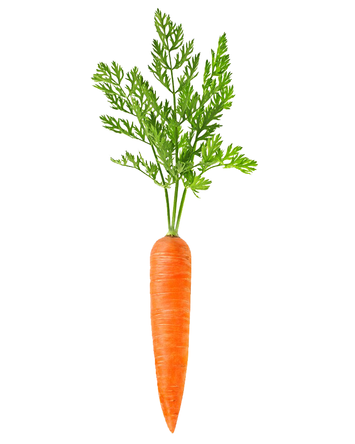 Download Carrot Free Transparent Image HD Clipart PNG Free FreePngClipart