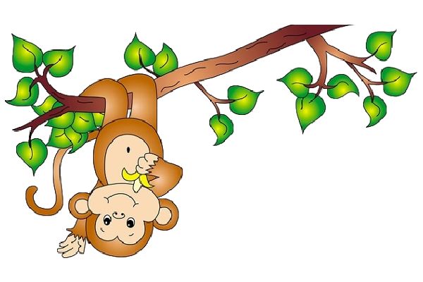Monkey On Vine Free Download Png Clipart