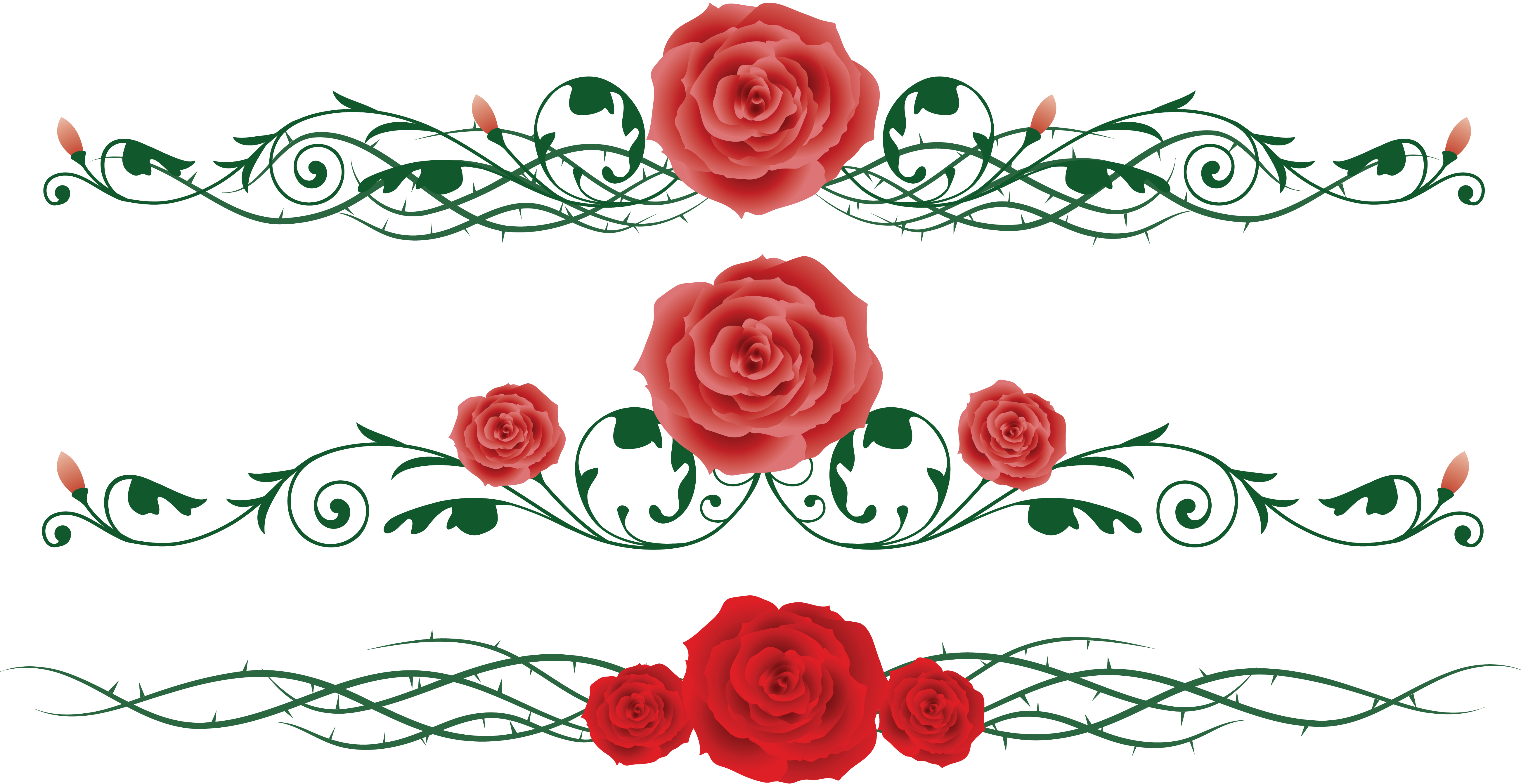 And Flower Chinese Rose Vine Thorns, Prickles Clipart