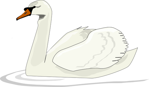 Swan Swimming Clipart