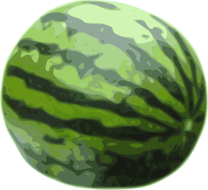 Watermelon At Clker Vector Image Png Clipart