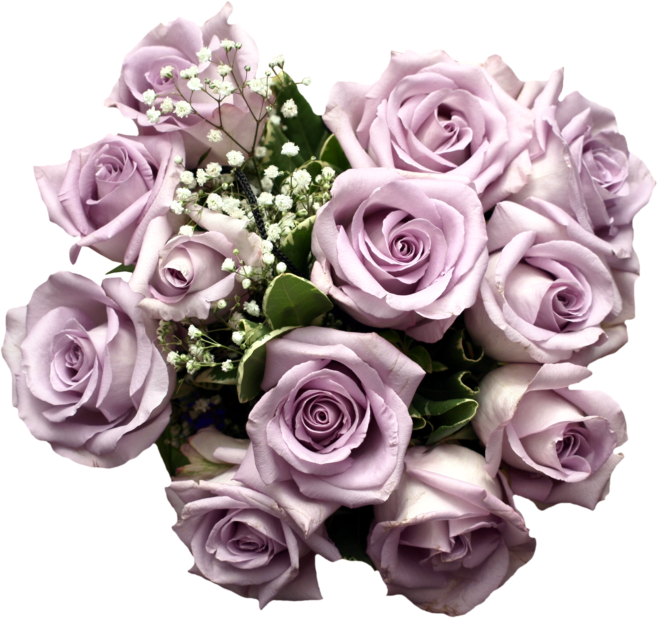 Purple Rose Flower Bouquet Light Download HQ PNG Clipart