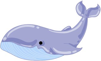 Baby Blue Whale Images Image Png Clipart