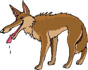 Wolf Images Free Download Png Clipart