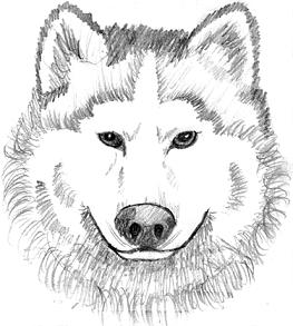 Free Wolf Image Png Clipart