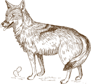 Wolf 9 At Clker Vector Transparent Image Clipart