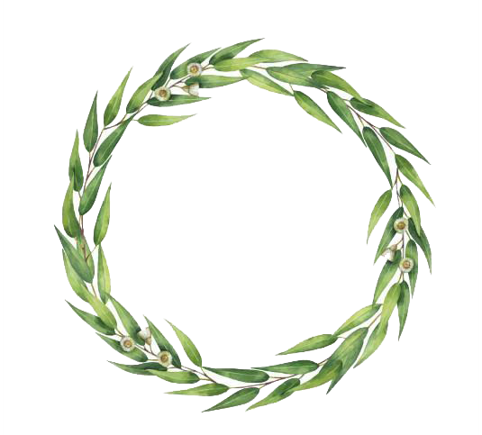 Eucalyptus Photography Wreath Polyanthemos Watercolor Invitation Wedding Clipart