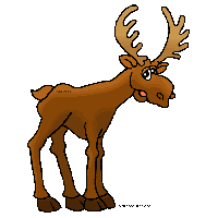 Download Moose Cartoon Images Hd Image Clipart Png Free Freepngclipart