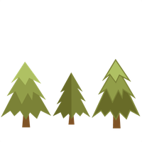 Download Pine Tree Category Png Clipart And Icons Freepngclipart