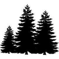 Download Pine Tree Category Png Clipart And Icons Freepngclipart