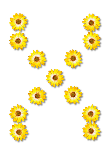 Flowers Forming X Clipart