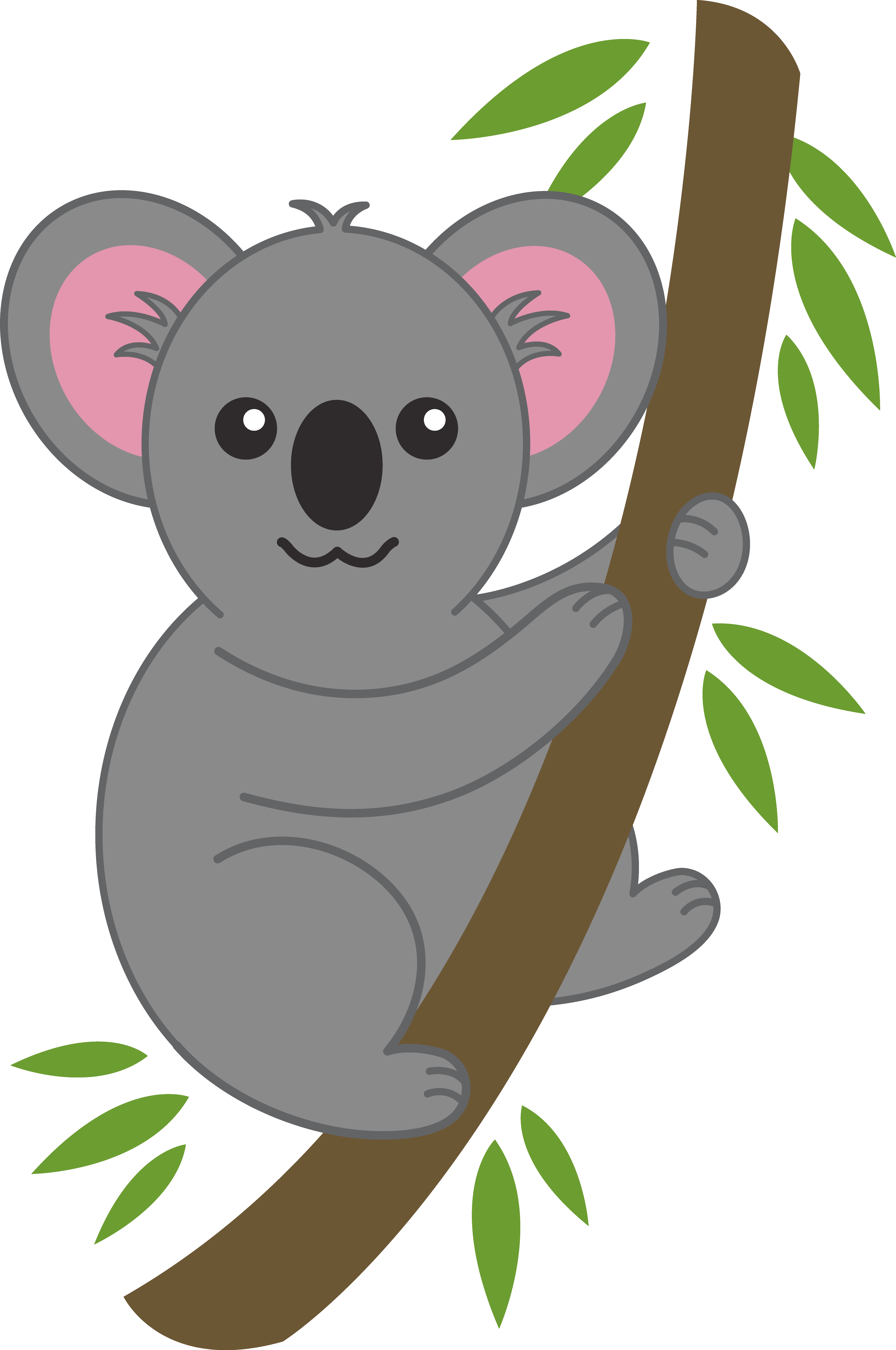 Koala Animal Transparent Image Clipart