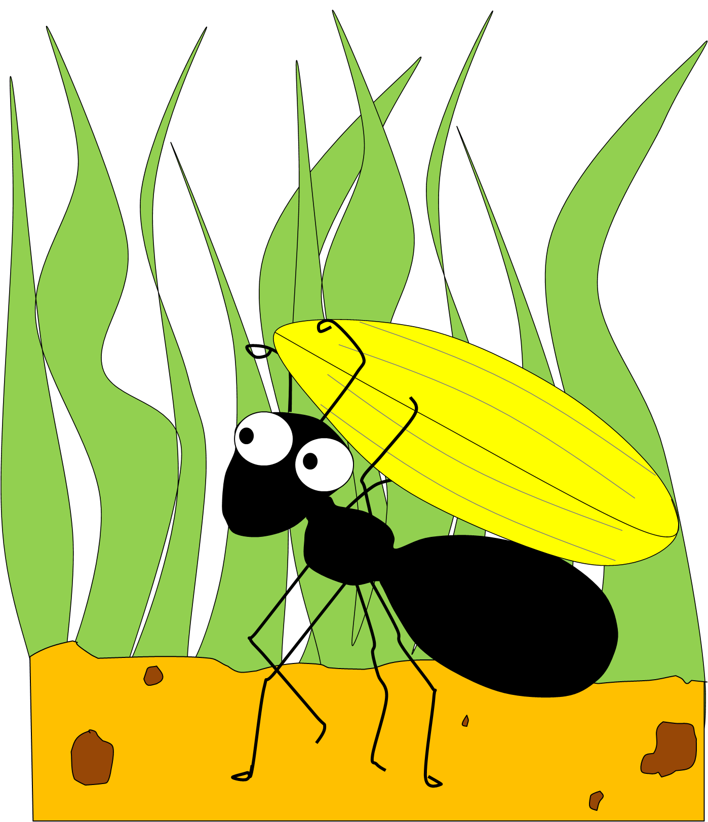 Ant The Png Image Clipart
