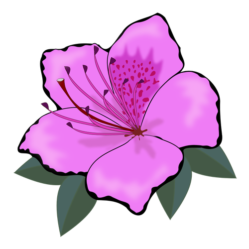 Pink Flower Clip Art Graphics Clipart