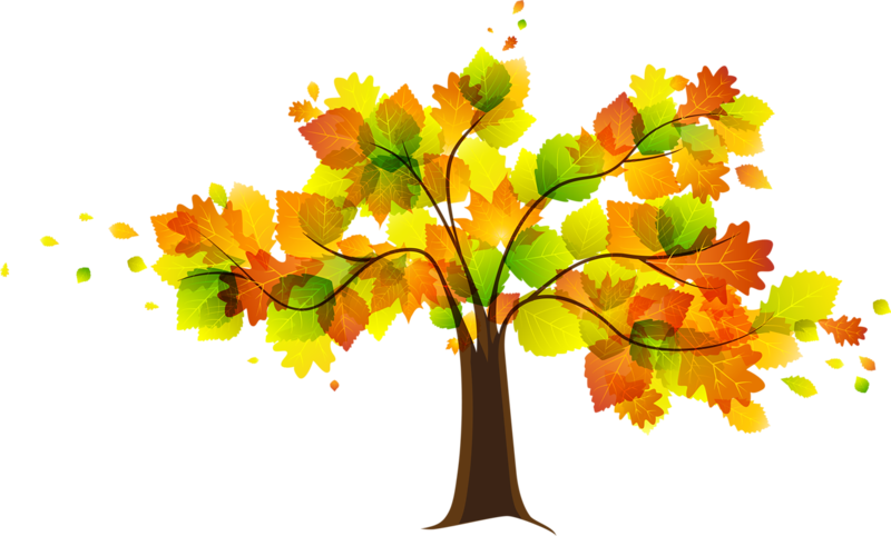 Autumn Fall Leaves Images Download Png Clipart