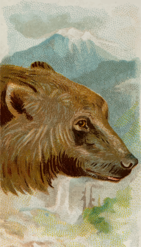 Grizzly Bear Image Clipart