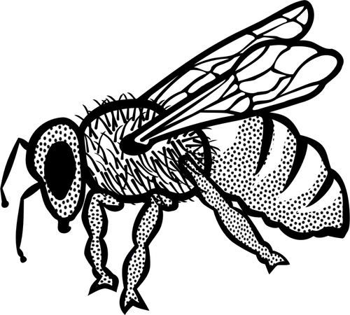 Outline Of Bee Clipart