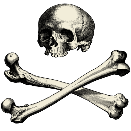 Skull With Bones Clipart