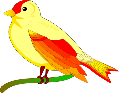 Of Colorful Sparrow On Tree Branch Clipart