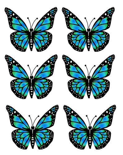 Butterflies Blue Butterfly Images Hd Photos Clipart