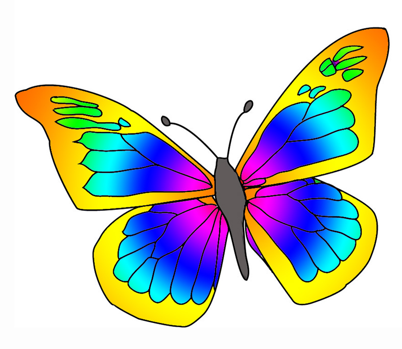 Butterfly Butterfly Graphicsde Hd Image Clipart