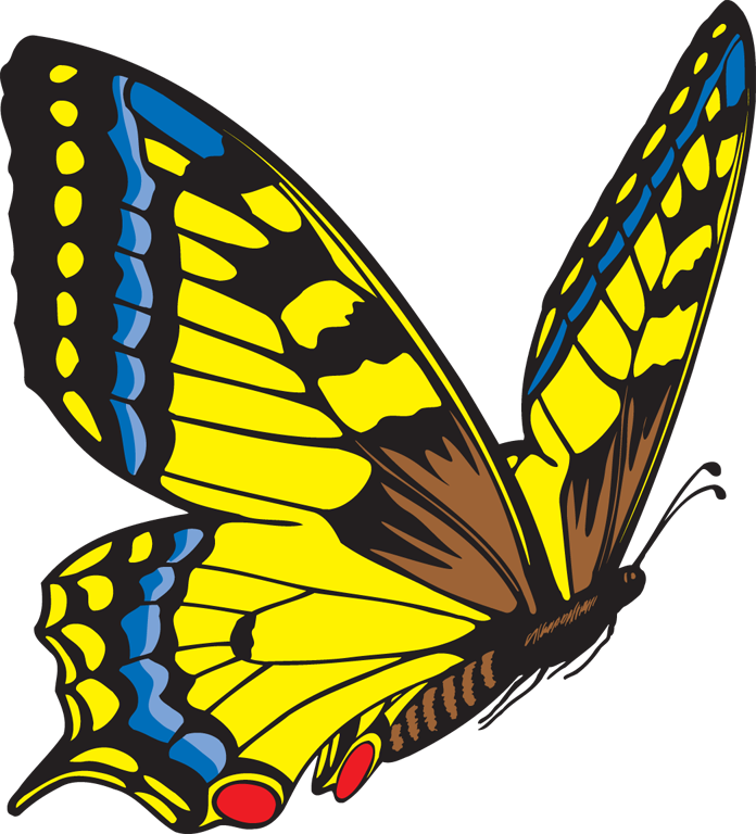 Butterfly Images Free Download Clipart