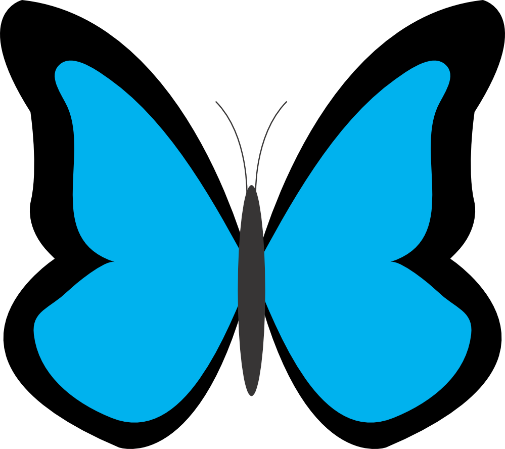 Butterfly Images Hd Photos Clipart