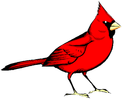 Cardinal Png Images Clipart