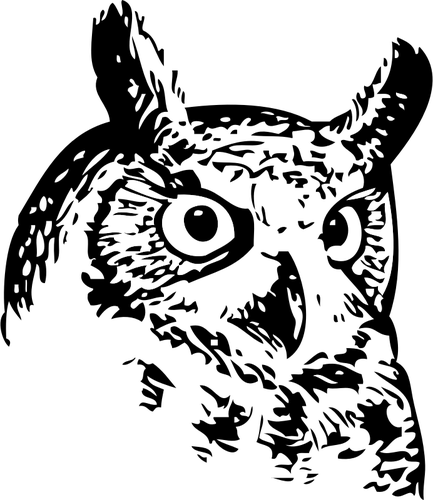 Owl Head Clipart
