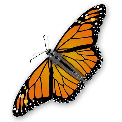 Spotty Butterfly Clipart