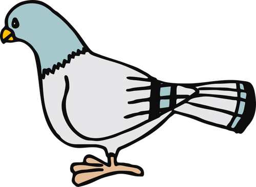 A Pigeon Clipart