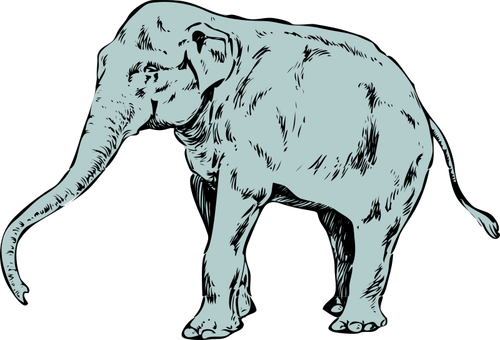 Of Blue Young Elephant Clipart