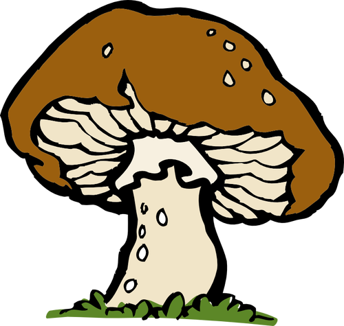 Of A Big Mushroom Clipart