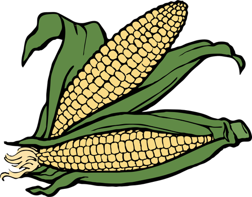 Two Ears Of Corn Clipart