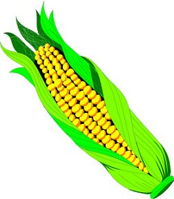 Free Corn Free Download Png Clipart