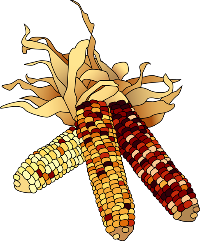 Indian Corn Image Png Clipart