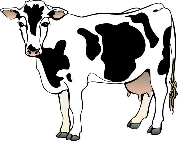 Cow Images Images Free Download Png Clipart