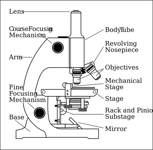 Microscope Side With Parts Labelled Clipart