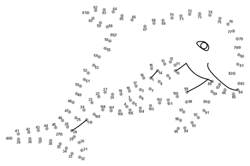 Dolphin Connect The Dots Clipart