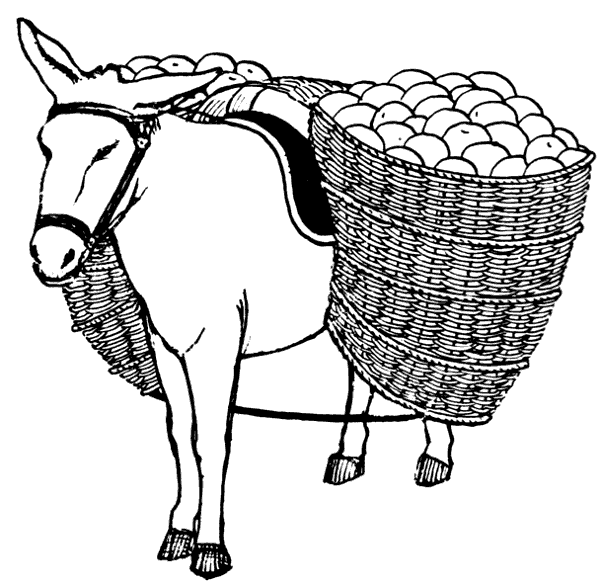 Free Donkey Picture 5 Of Clipart Clipart