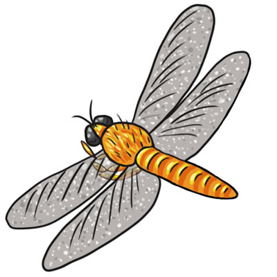 Free Dragonfly Drawings And Colorful Images Clipart