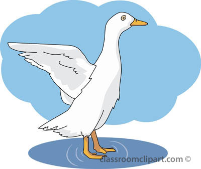 Free Duck Pictures Graphics Illustrations Transparent Image Clipart