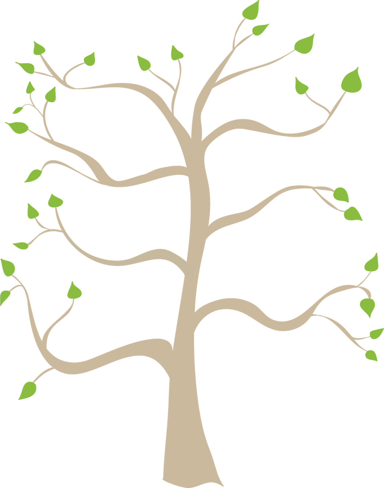 Family Tree Related Keywords Png Images Clipart